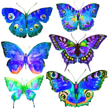 güzel kelebekler, ayarla, suluboya, beyaz izole