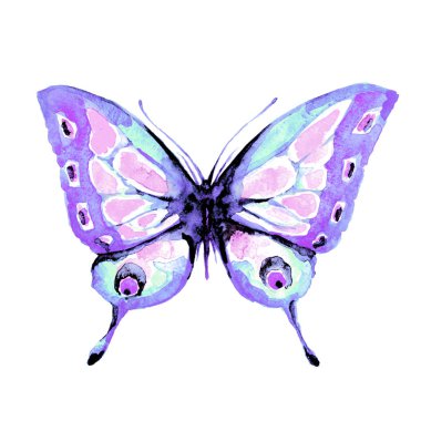 beyaz zemin üzerine suluboya izole kelebek