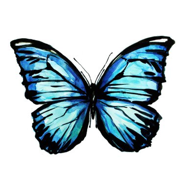 güzel mavi kelebek, suluboya, izole bir beyaz