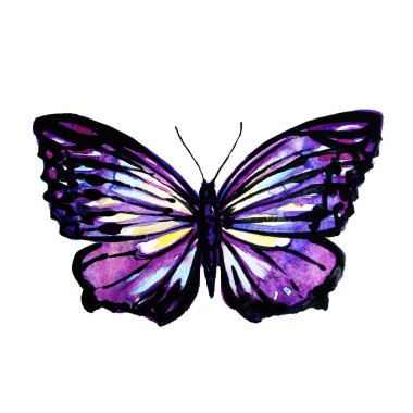 güzel pembe kelebek, suluboya, izole bir beyaz