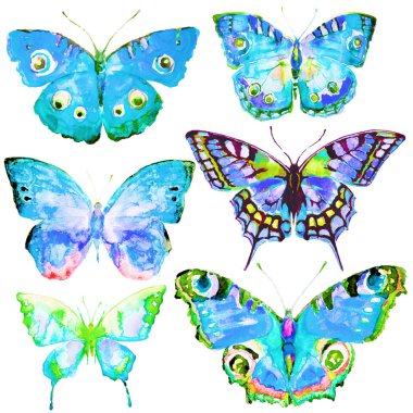 güzel kelebekler, suluboya, izole bir beyaz