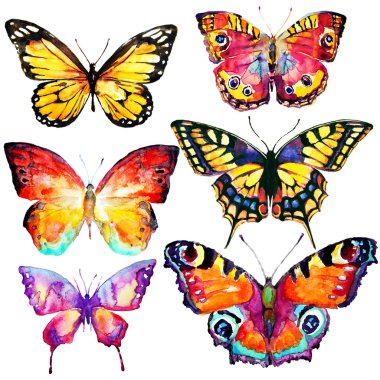 güzel kelebekler, suluboya, izole bir beyaz arka plan üzerinde 