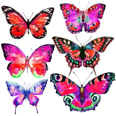 güzel kelebekler, suluboya, izole bir beyaz arka plan üzerinde 