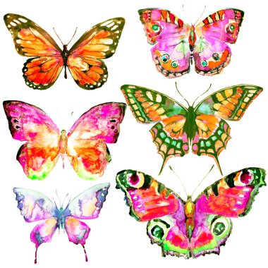 güzel kelebekler, suluboya, izole bir beyaz arka plan üzerinde 