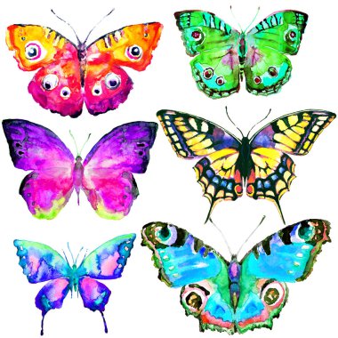 güzel renkli kelebekler küme, beyaz izole