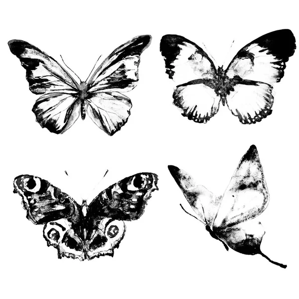 Schwarze Schmetterlinge Aquarell Isoliert Auf Einem Weißen — Stockfoto