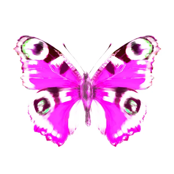 Güzel Kelebek Suluboya Izole Bir Beyaz — Stok fotoğraf