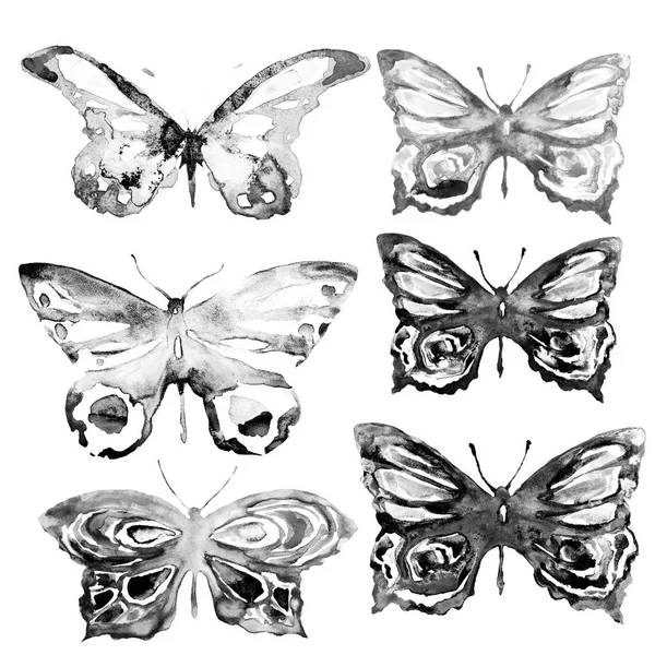 Fjärilar Svart Ställa Akvarell Isolerad Vit — Stockfoto