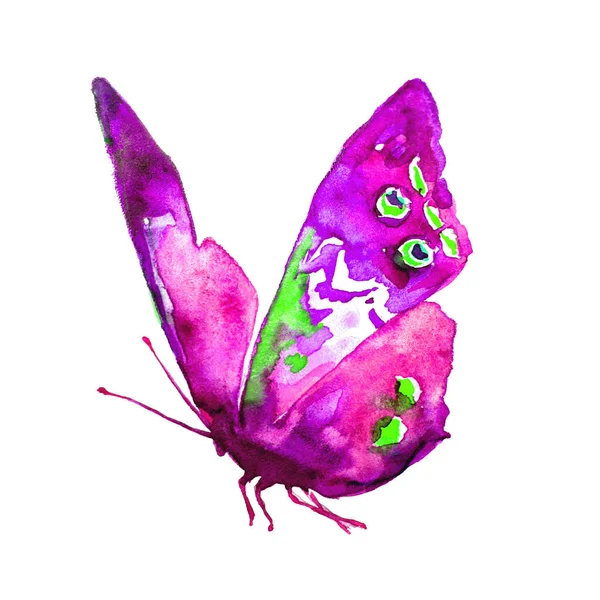 Vacker Fjäril Akvarell Isolerad Vit — Stockfoto