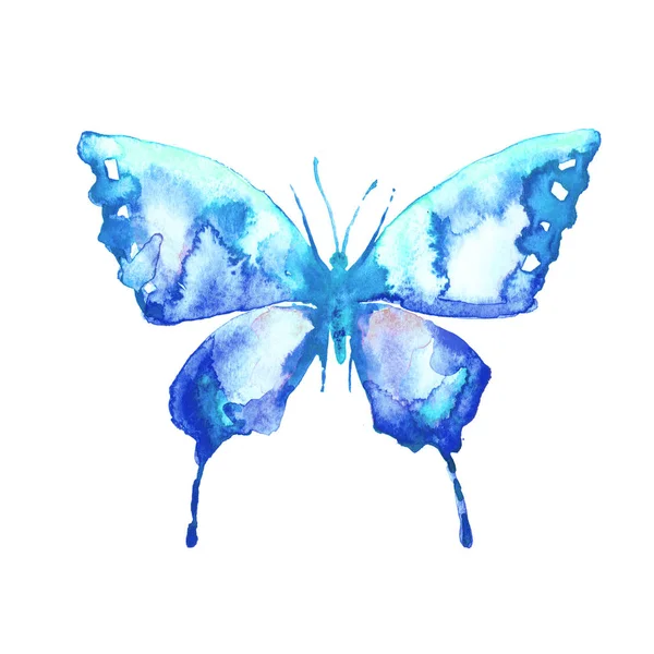 Beautiful Butterfly Isolated White Watercolor — Stock Photo, Image