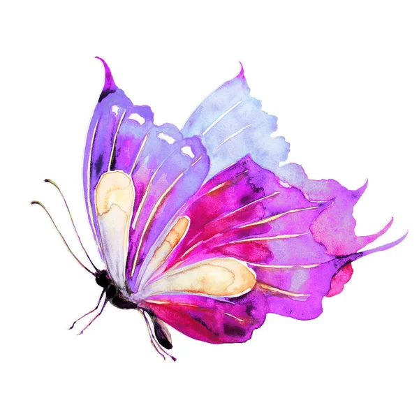 Όμορφη Πεταλούδα Απομονώνονται Ένα Λευκό Ακουαρέλα — Φωτογραφία Αρχείου