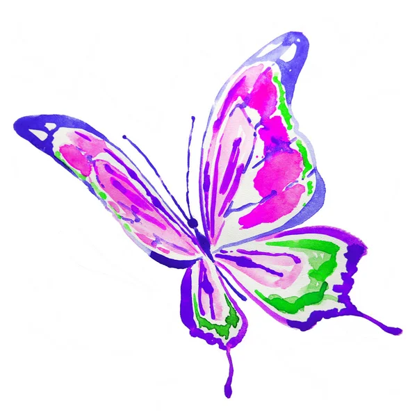 Gyönyörű Pillangó Akvarell Elszigetelt Fehér — Stock Fotó