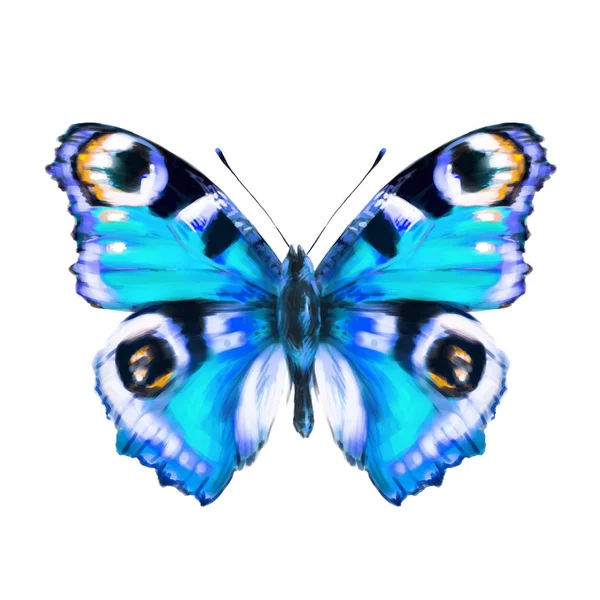 Bella Farfalla Blu Acquerello Isolato Bianco — Foto Stock