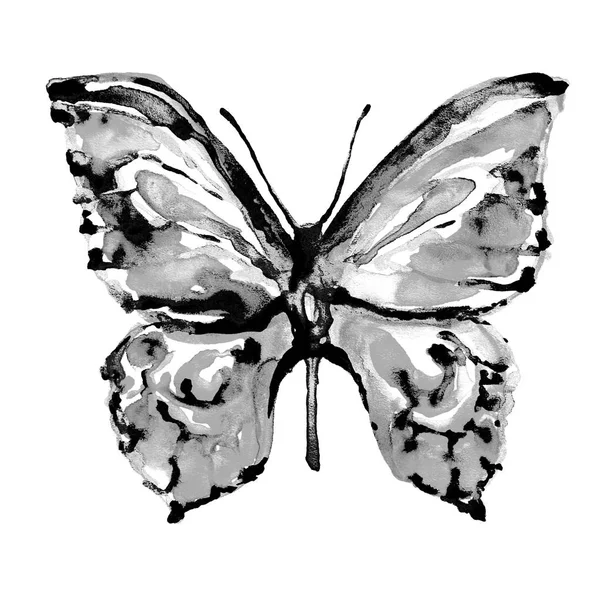 Gyönyörű Pillangó Akvarell Elszigetelt Fehér — Stock Fotó