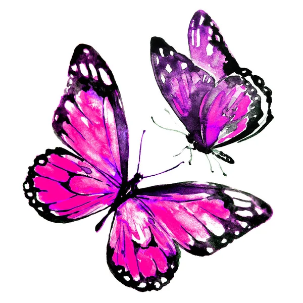 Białym Tle Piękny Różowy Motyle Akwarela — Zdjęcie stockowe