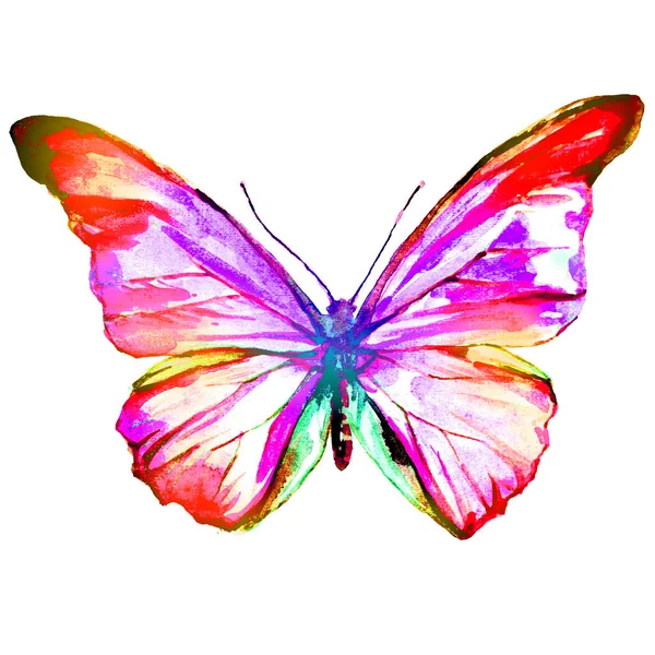 Beautiful Pink Butterfly Watercolor Isolated White — Stock Photo, Image