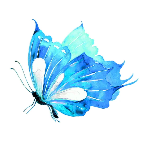 Krásný Motýl Izolované Bílém Akvarel — Stock fotografie