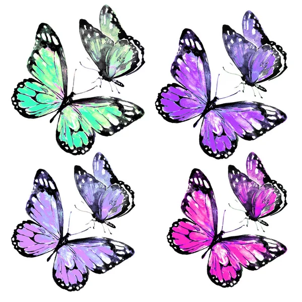 Krásné Světlé Motýlů Akvarel Izolované Bílém — Stock fotografie