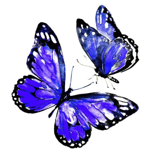 Mooie Heldere Vlinders Aquarel Geïsoleerd Een Witte — Stockfoto