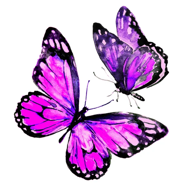 Beautiful Bright Butterflies Watercolor Isolated White — Stock Photo, Image