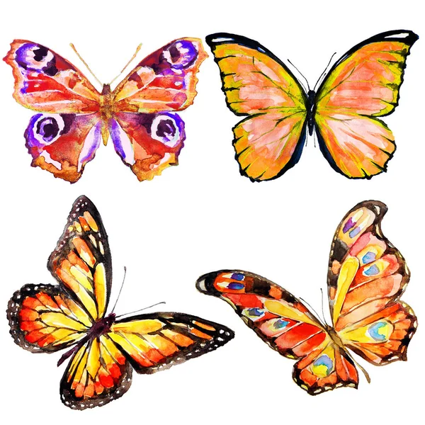 Красивий Кольоровий Набір Метеликів Ізольований Білому — стокове фото