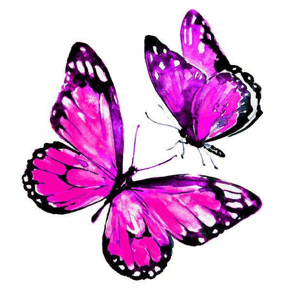 Gyönyörű Pillangók Akvarell Elszigetelt Fehér Background — Stock Fotó