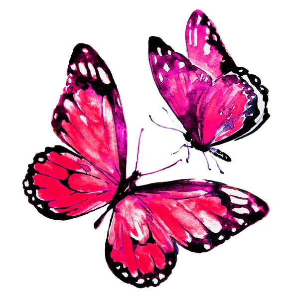 Gyönyörű Pillangók Akvarell Elszigetelt Fehér — Stock Fotó