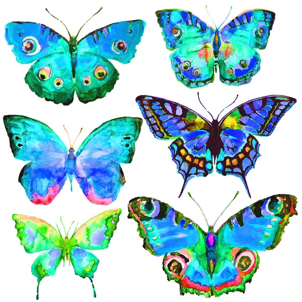 Vackra Fjärilar Ställa Akvarell Isolerad Vit — Stockfoto