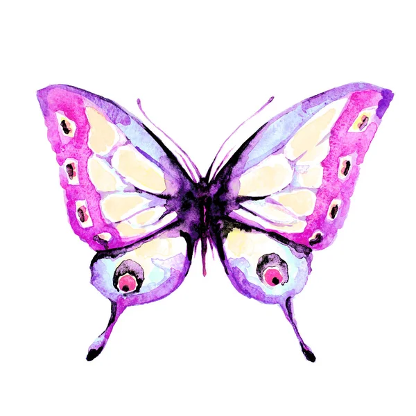 Butterfly Isolated White Background Watercolor — Stock Photo, Image