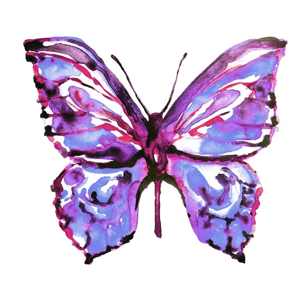 Butterfly Isolerad Vit Bakgrund Akvarell — Stockfoto