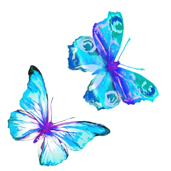 Красивий Метелик Ізольований Білому Акварелі — стокове фото