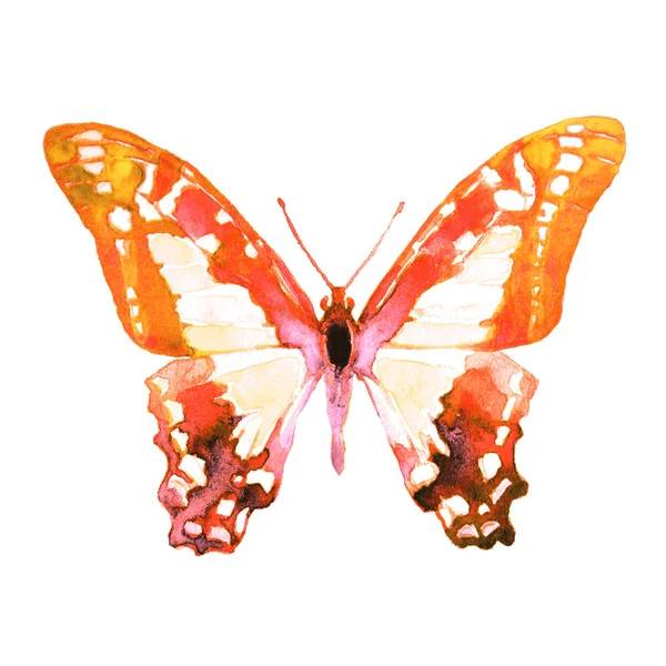 Vacker Fjäril Isolerad Vit Akvarell — Stockfoto