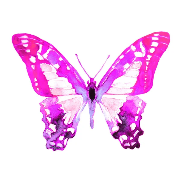 Красивая Розовая Бабочка Акварель Изолированные Белом — стоковое фото