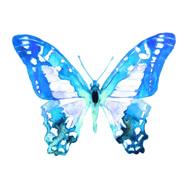 Krásný Motýl Akvarel Izolované Bílém — Stock fotografie