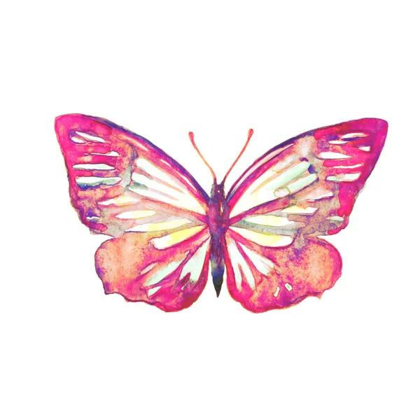 Schöner Rosa Schmetterling Aquarell Isoliert Auf Einem Weißen — Stockfoto