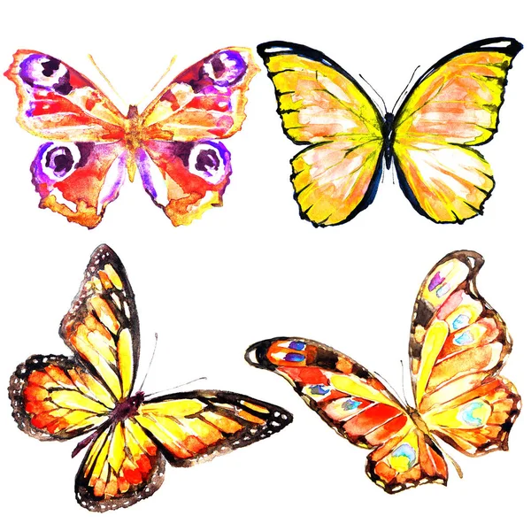 Mooie Kleur Set Geïsoleerd Een Witte Vlinders — Stockfoto
