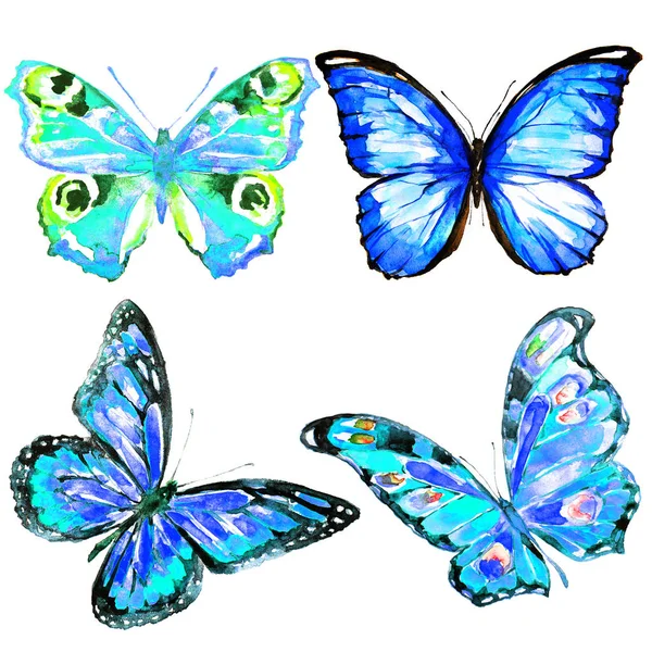 Piękny Kolor Motyle Zestaw Białym Tle — Zdjęcie stockowe