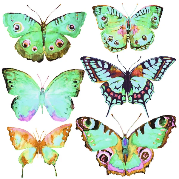 Krásné Motýly Sada Akvarel Izolované Bílém — Stock fotografie