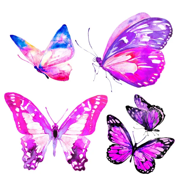 Schöne Schmetterlinge Set Aquarell Isoliert Auf Einem Weißen — Stockfoto