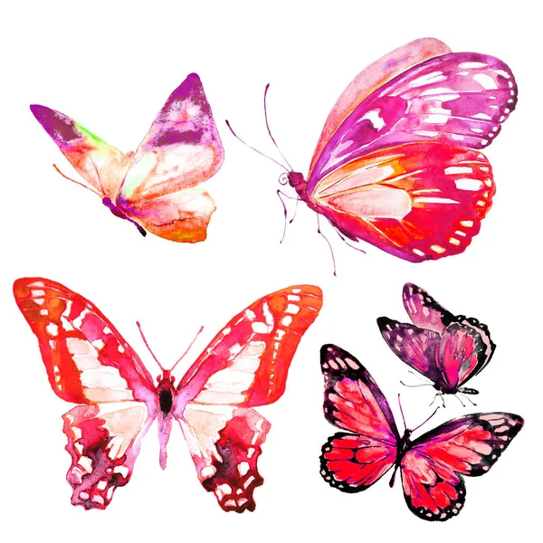 Mooie Vlinders Set Aquarel Geïsoleerd Een Witte — Stockfoto