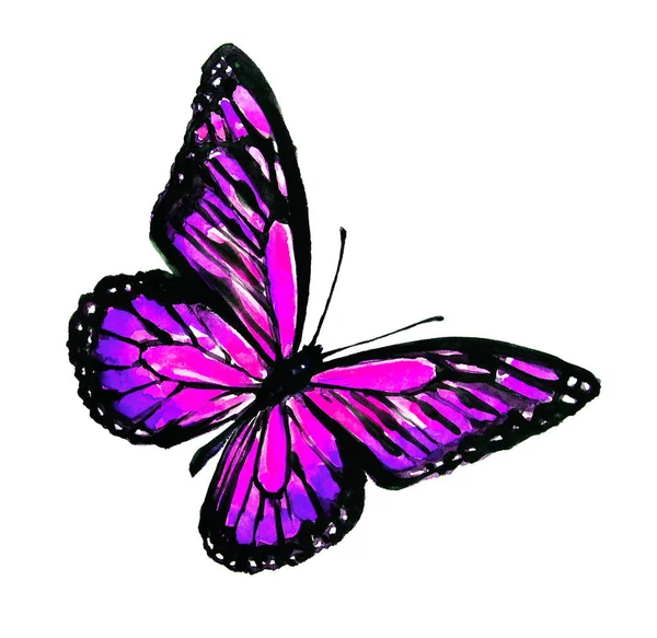 Krásný Růžový Motýl Akvarel Izolované Bílém — Stock fotografie