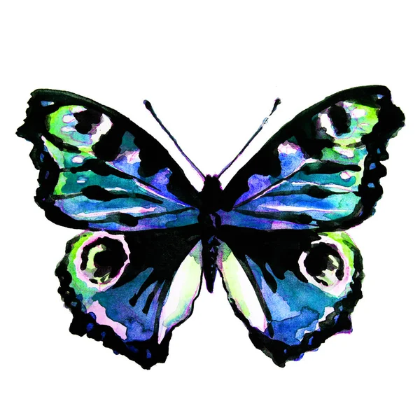 Krásný Modrý Motýl Akvarel Izolované Bílém — Stock fotografie