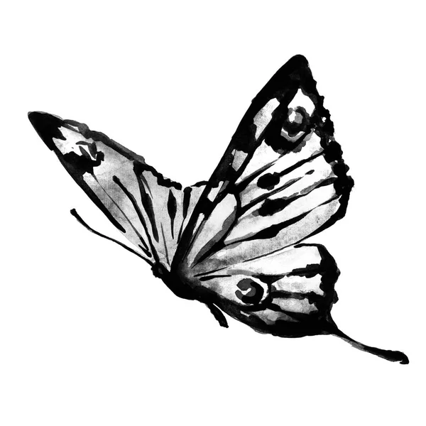 美しい蝶が白 水彩で隔離 — ストック写真