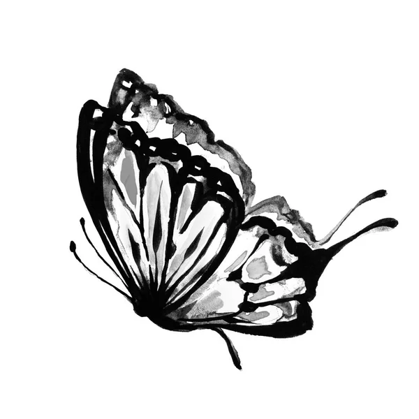 Красивая Бабочка Акварель Изолированная Белом — стоковое фото