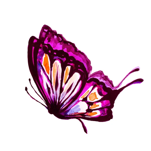 美しいピンクの蝶は 水彩は 白で隔離 — ストック写真