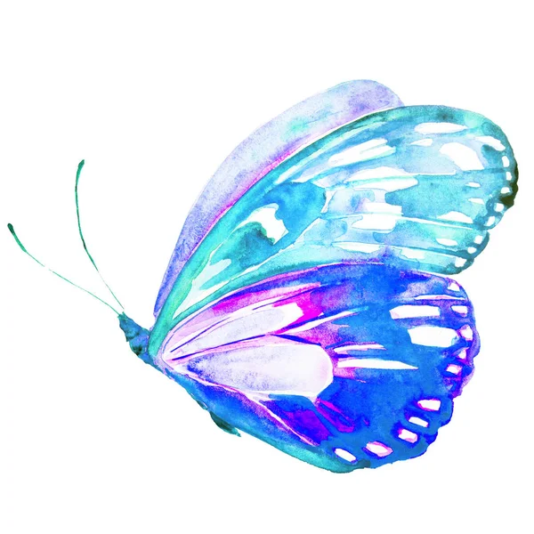 Beautiful Blue Butterfly Isolated White Watercolor — Stock Photo, Image
