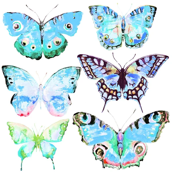 Vackra Fjärilar Akvarell Isolerad Vit — Stockfoto