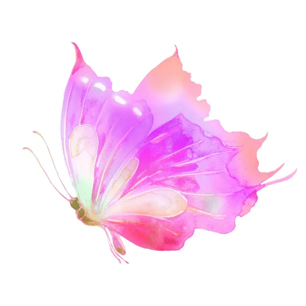 Prachtige Roze Vlinder Aquarel Geïsoleerd Een Witte — Stockfoto