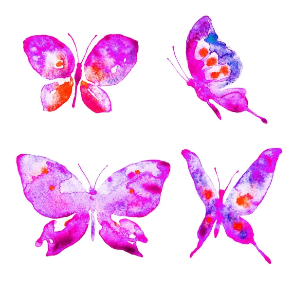 Beautiful Butterflies Watercolor Isolated White Background — Stock Photo, Image