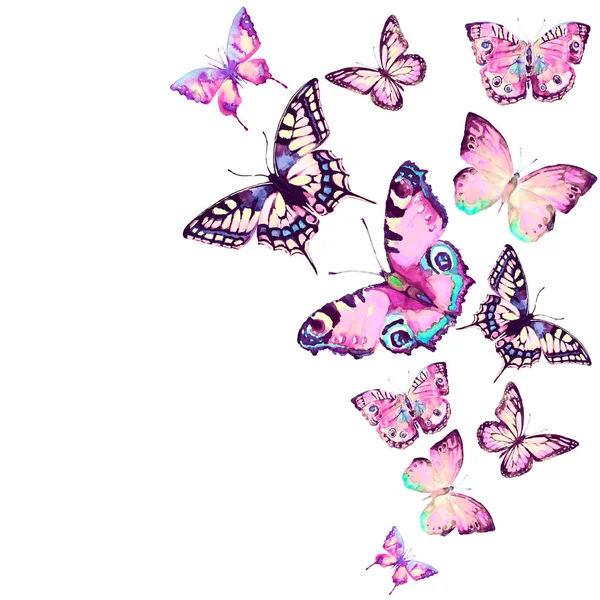 Красивые Бабочки Акварель Изолированные Белом Фоне — стоковое фото